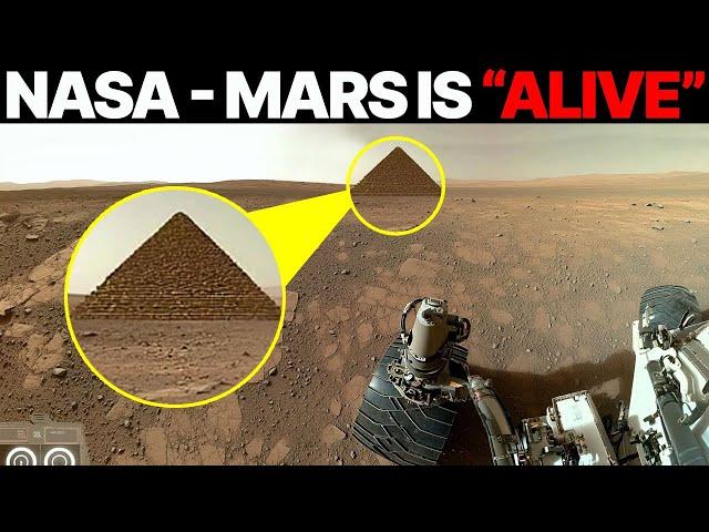 Ancient Settlement Found on Mars? – NASA’s Latest Rover Sends Shocking Images