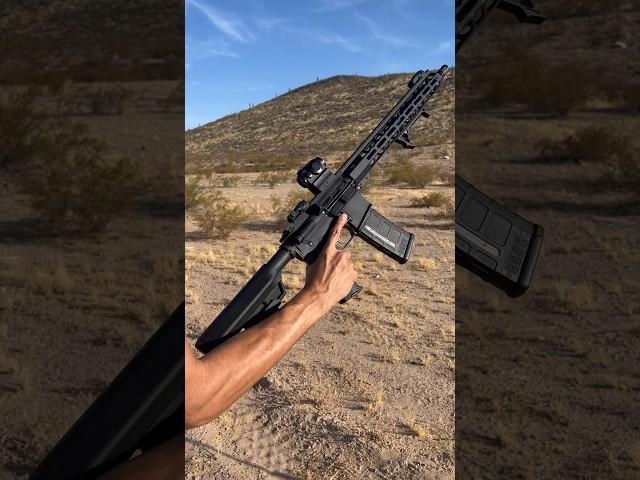 Every Gun Owner Needs an AR-15 #ar15 #shooting #shortvideos