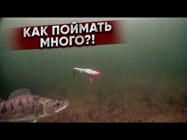 ГДЕ искать и на КАК ПОЙМАТЬ МНОГО РЫБЫ / СЕКРЕТЫ и советы ловли судака