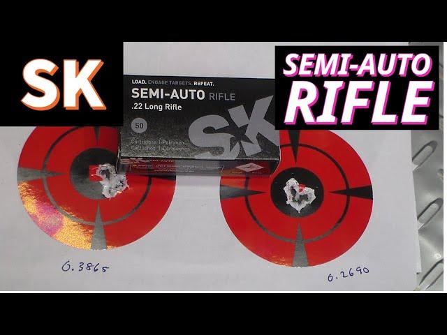 SK Semi-Auto Rifle 22LR Ammo - Extremely Accurate