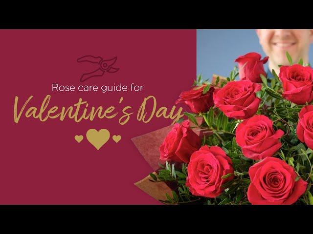 Flower care guide | Valentine's Day