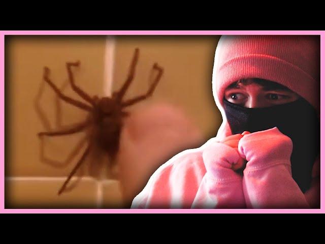 Guy With Extreme Arachnophobia Reacts To Arachnophobia #2 (Cries)