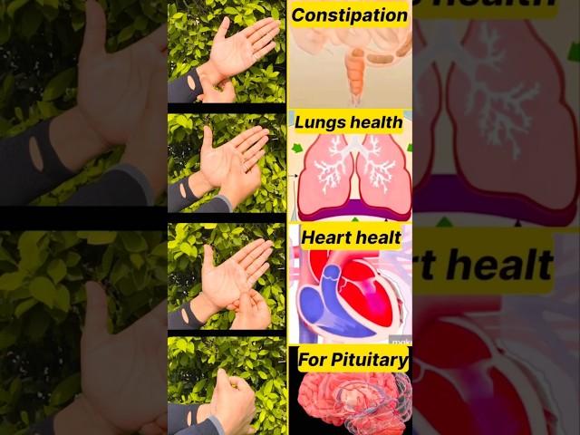 beneficial Mudras #constipation  #lungs #heart #pituitary #trending #shorts #yogamudra #yogapose
