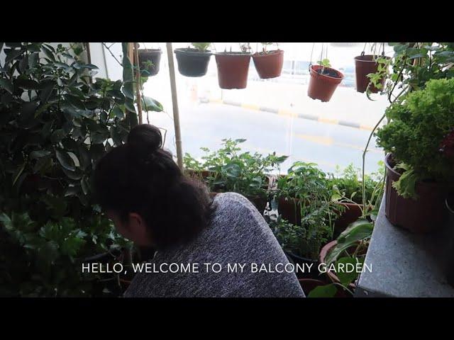 A DAY IN THE LIFE OF A STAY AT HOME MOM||MOM LIFE ||DUBAI LIFE||MAE'S KITCHEN AND LIVING