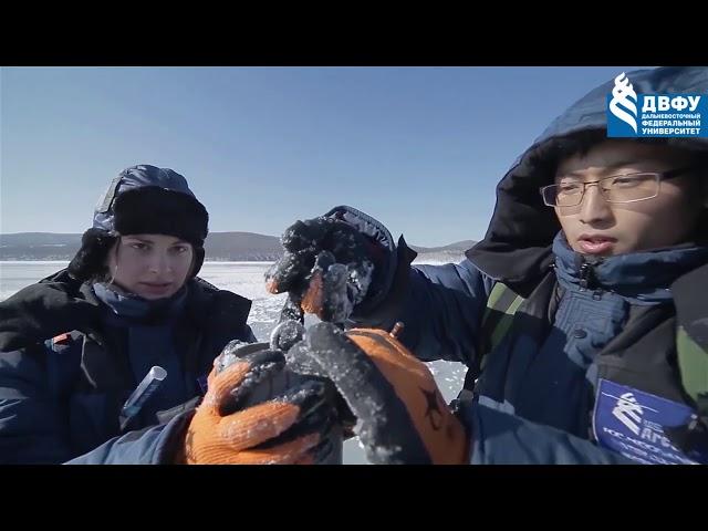 ролик про научные проекты ДВФУ