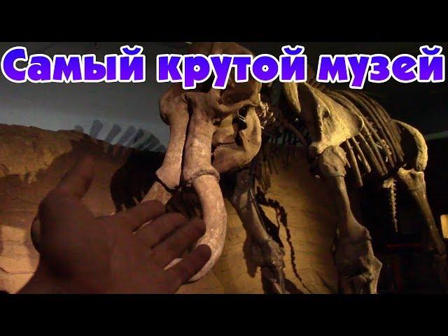 Самый крутой музей, в котом я был. Китай. Харбин.