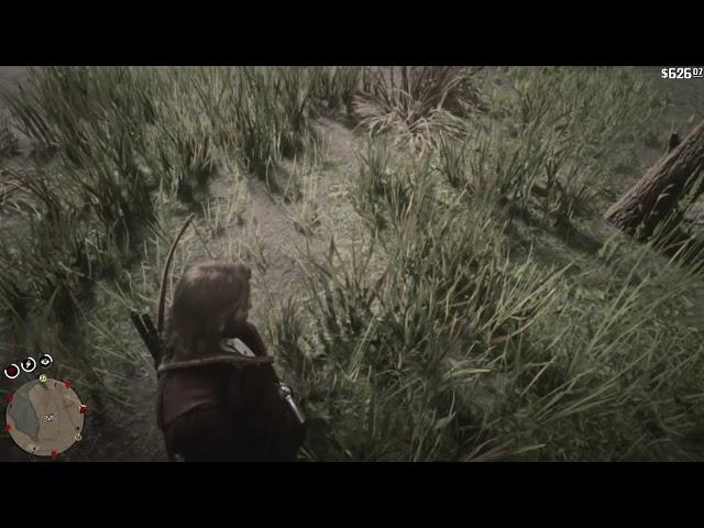 Red Dead Redemption 2 do not eat common bullrush