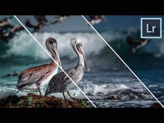 Lightroom HSL Tutorial for Beginners