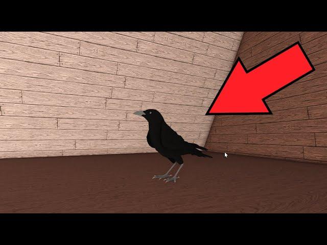 THIS IS THE BEST RAVEN IN ANIMAL LIFE: FOREST ROLEPLAY!!