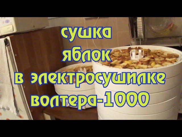 Сушка яблок в электросушилке ВОЛТЕРА-1000. Drying apples in the driers WALTER-1000