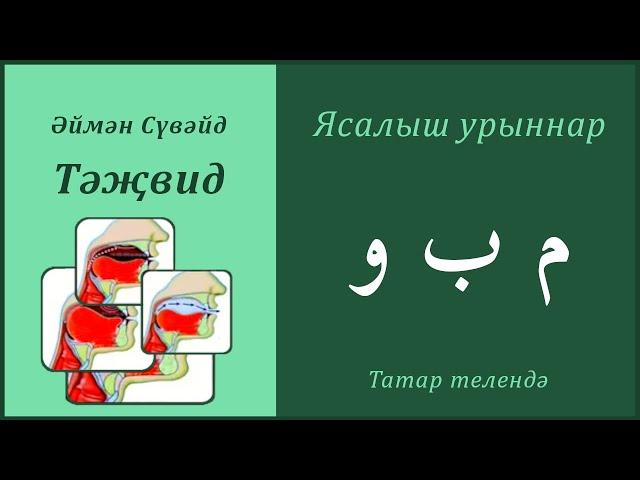 17. Ясалыш урыннары: ҮӘҮ, БӘ, МИМ| Әймән Сүвәйд (татарча субтитрлар)