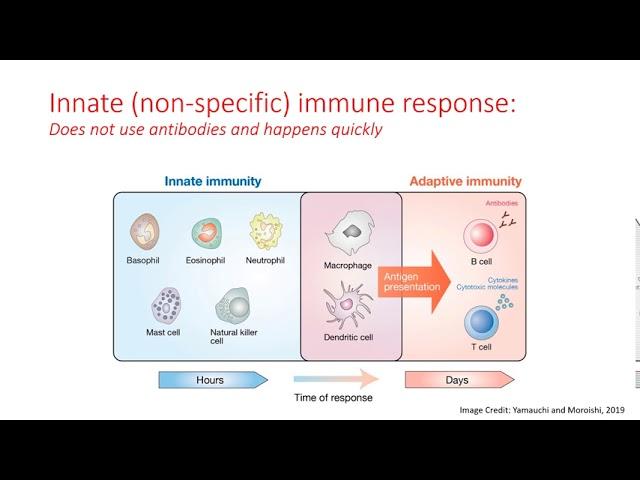 The BTC Institute presents: Protein Analysis for COVID19