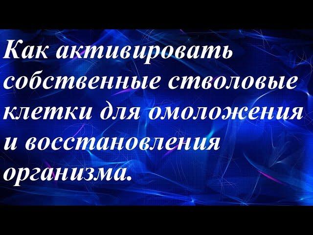 Как активировать стволовые клетки для омоложения и восстановления организма.