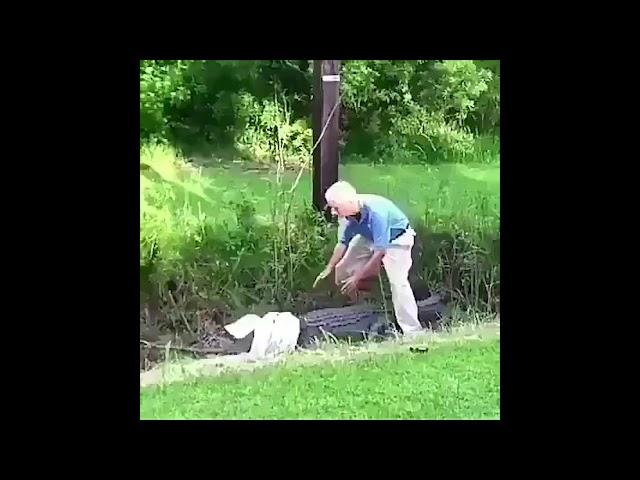 Alligator tries to attack a Senior Citizen...