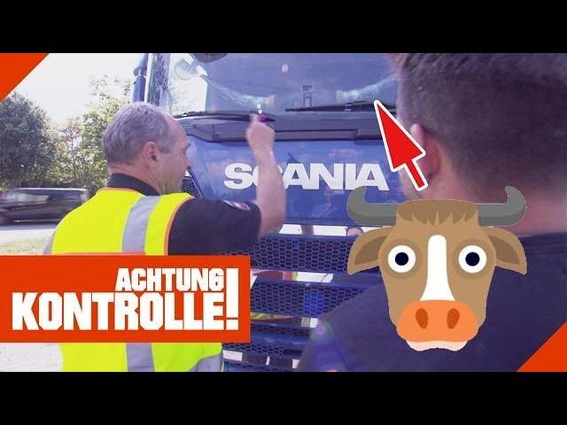 LKW hat HÖRNER!  Windschutzscheibe blockiert!  |2/2| Kabel Eins | Achtung Kontrolle