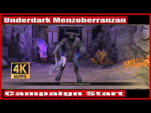 Neverwinter 2024 MMO Chronicles Underdark Menzoberranzan Campaign Start