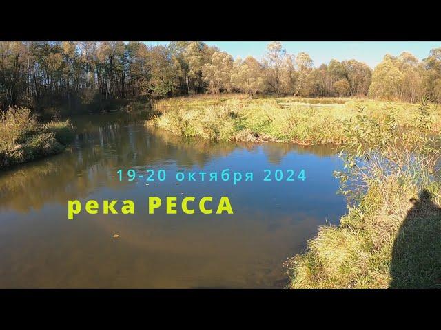 р.Ресса - закрытие сезона 2024