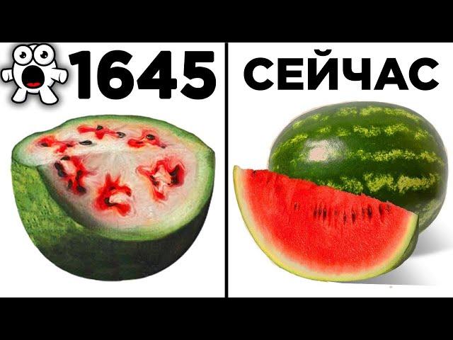 Эти Плоды Раньше Выглядели Совсем Иначе