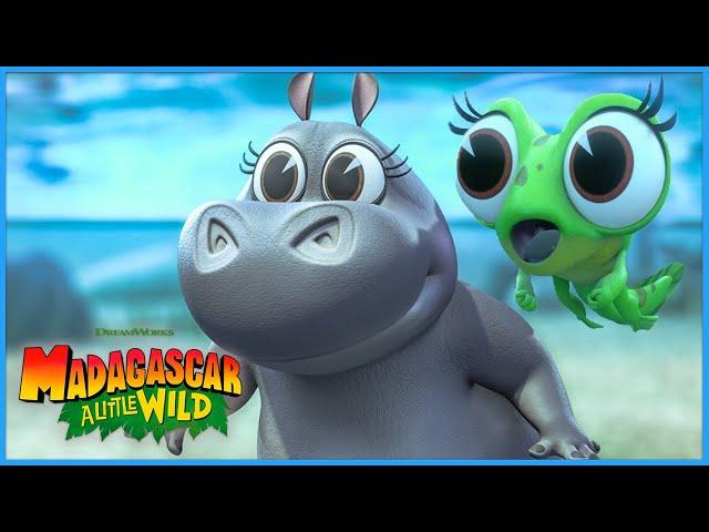 Froggy Adventures!  | DreamWorks Madagascar