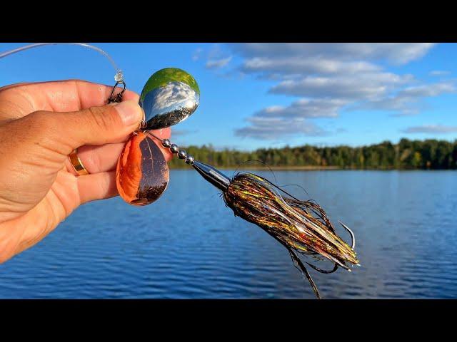 MUSKY Pond Fishing - 6 Fish Day!!