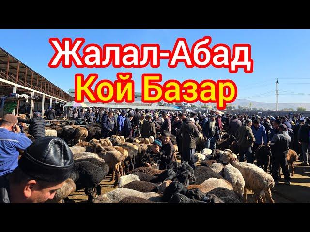 Кой Базар Жалал-Абад