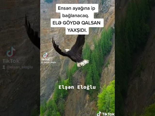 Elsan Eloglu.  QARTAL ZİRVƏLƏRDƏN ENMƏ YAZIQSAN