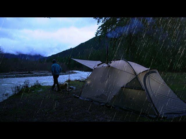 Solo Camping in Heavy Rain with my Dog - Hot Tent Wood Stove | ASMR |