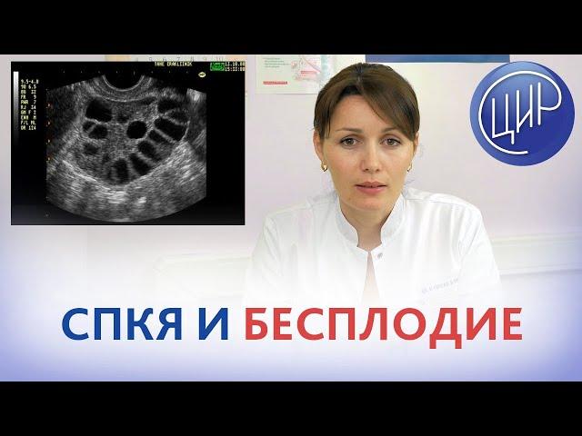 Поликистоз и беременность. СПКЯ, проблемы с зачатием и как с ними бороться. Дюльгер В.П.