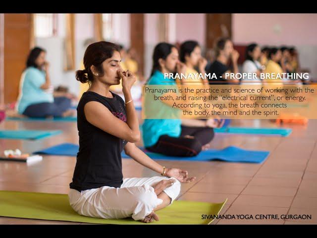 30 Minute Pranayama Routine : Breathe Better To Live Better