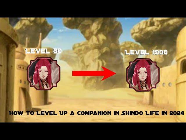 Fastest Way to Level Up Your Companion in Shindo Life!