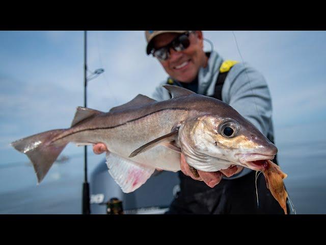 Spring Haddock Fishing | Plymouth, MA | S20 E04