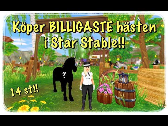 Köper BILLIGASTE HÄSTEN i Star Stable!! 14 st hästar!!