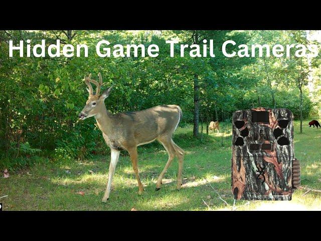 GAME TRAIL VIDEOS - Chequamegon-Nicolet National Forest (FULL YEAR)