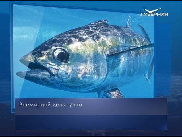 Всемирный день тунца. Календарь губернии от 2 мая