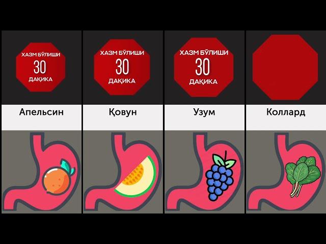 Турли хил овқатлар қанча вақт давомида хазм бўлади? Озиқ овқат махсулотларини таққослаш.