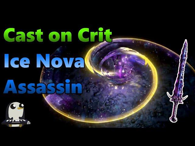 3.11 Cast on Crit Ice Nova Assassin Build Guide | Cospri's Malice | Low Life | Leveling Guide