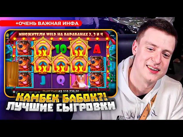 Gates of Olympus, Dog House, Zevs vs Hades, Book of Time - топ заносы Мелстроя