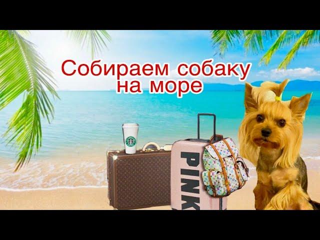 Собираем чемодан для собаки на море // Что взять для собаки в отпуск