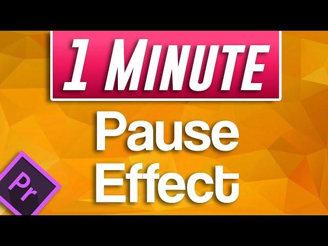 How to do Pause Effect in Premiere Pro