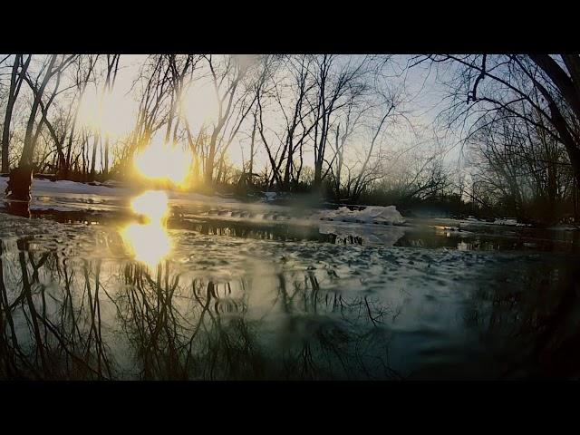 The Insane Warrior - "Tendrils"