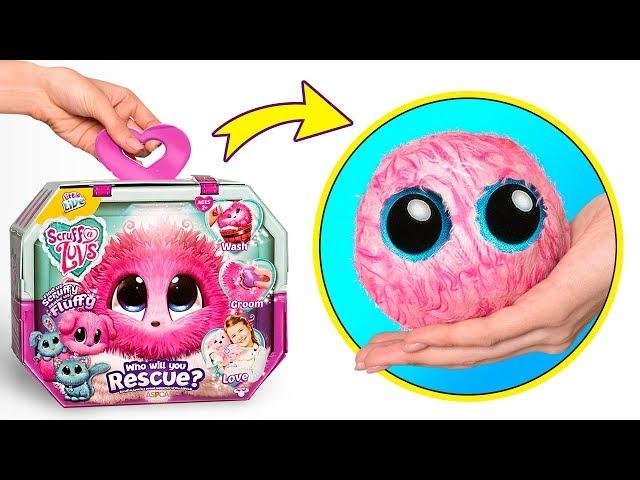 Nettoie et révèle une adorable peluche Scruff-A-Luvs