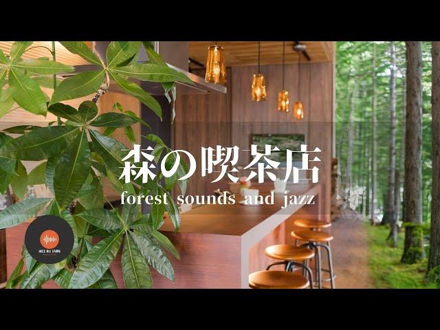 Ambient sounds + JAZZ Forest coffee shop Natural ambience sounds In the forest CAFE JAZZ - Work BGM