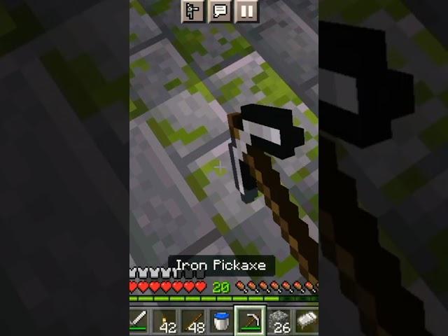 Minecraft Rarest Moments