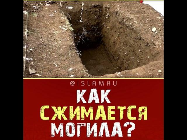 Как сжимается могила?