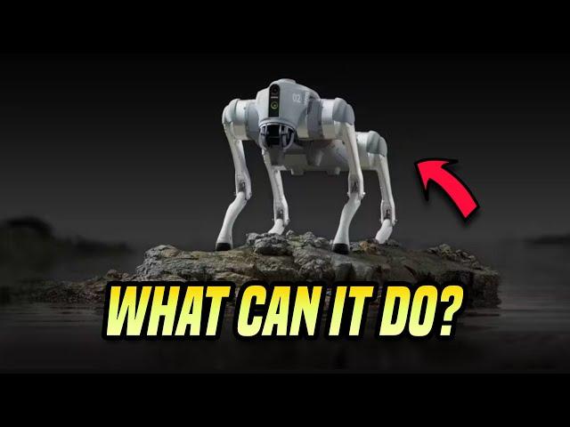 Exploring Robotic Capabilities: Unleashing the Power of Robot Dogs with Unitree's Insights