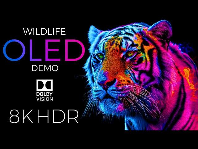 Wildlife OLED Demo HDR 8K Ultra HD Dolby Vision™ 60fps