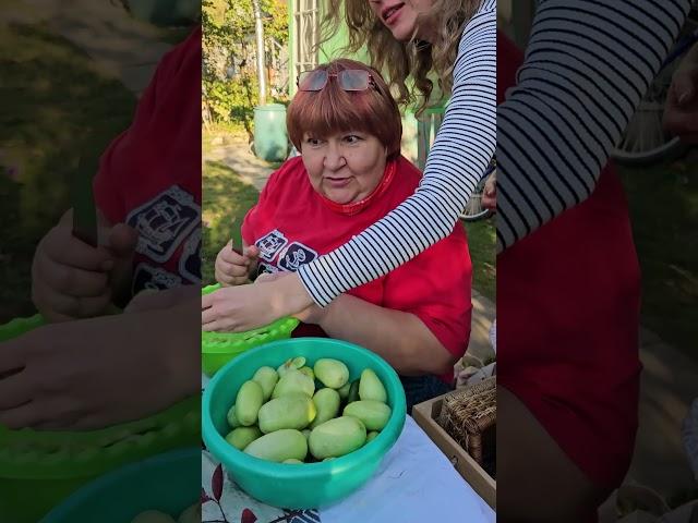 Как мы новинки огурцов тестировали.