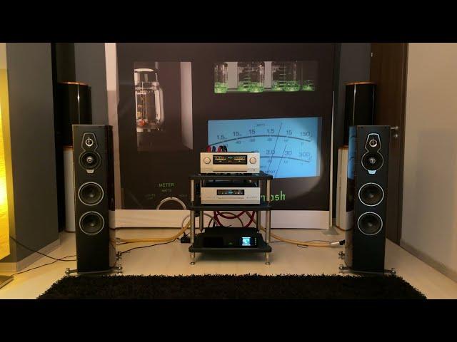 Is This The BEST Audio Setup of 2024? Accuphase & Sonus faber | Death of the Bull - Stavros Lantsias