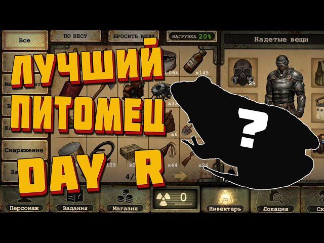 Лучший питомец Day r survival . Волк, ворон , песец или тыковка ?