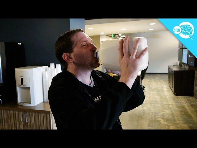 Why Is It So Difficult To Chug A Gallon Of Milk?